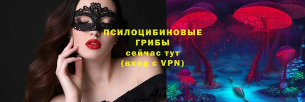 ПСИЛОЦИБИНОВЫЕ ГРИБЫ Балахна
