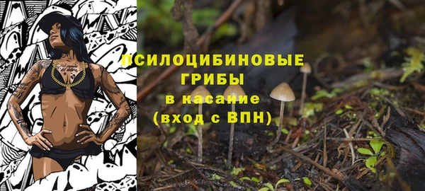 кокс Богородск