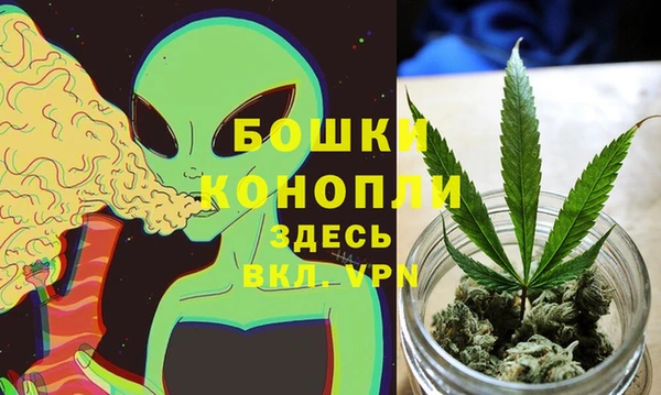 альфа пвп Бородино