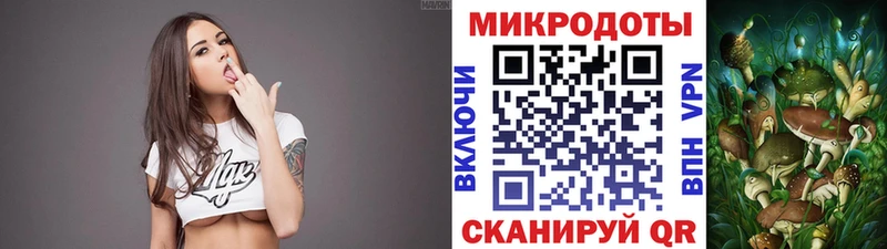 Галлюциногенные грибы Psilocybe  Валдай 
